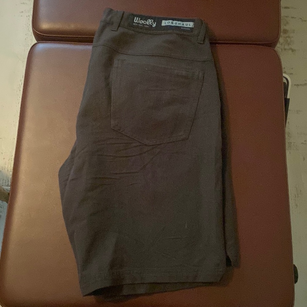 Woolly LongHaul Men's Shorts